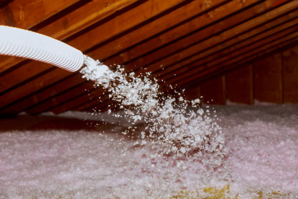 Best Insulation Installation Services in Chester, IL