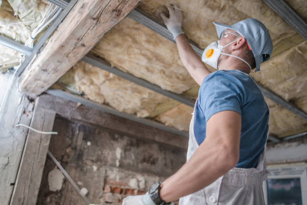 Best Insulation for Specific Applications in Chester, IL