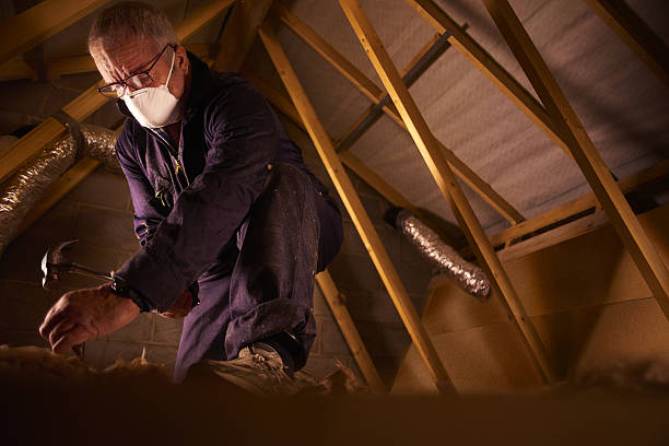 Best Insulation Materials and Products in Chester, IL