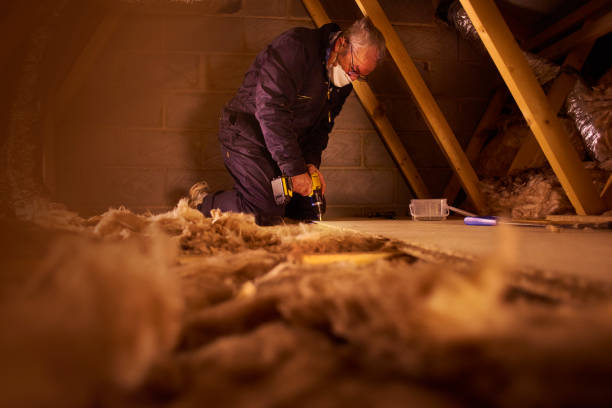 Best Commercial Insulation in Chester, IL