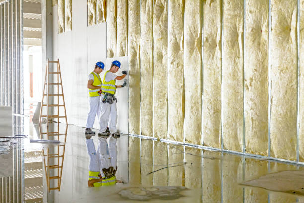 Best Insulation for Specific Applications in Chester, IL